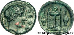 SICILE - LÉONTINI Trias, (PBQ, Æ 14)