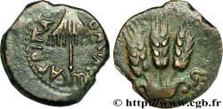 GIUDAE - REGNO DE HERODIUS - AGRIPPA IAgriip Prutah, (PB, Æ 18)