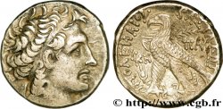 ÄGYPTEN - PTOLEMÄISCHES KÖNIGREICH ÄGYPTEN - PTOLEMAIOS XII NEOS DIONYSOS Tétradrachme fVZ