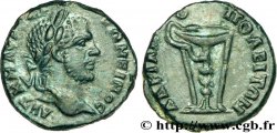 CARACALLA Assarion