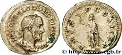 PUPIENUS Denier