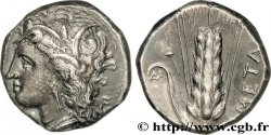 LUCANIA - METAPONTO Nomos, statère ou didrachme