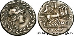 GELLIA Denier