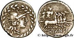 GELLIA Denier