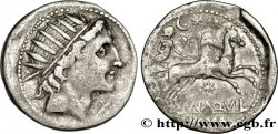 AQUILLIA Denier