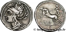 COELIA Denier