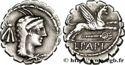 PAPIA Denier serratus SUP