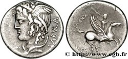COSSUTIA Denier TTB+