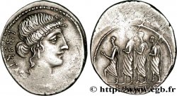 BRUTUS Denier SPL