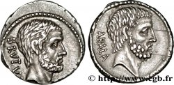 BRUTUS Denier SUP