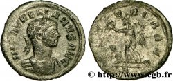 AURÉLIEN Demi-aurelianus SUP/TTB+