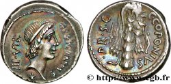 SICINIA Denier
