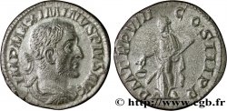 MAXIMINO I Denier