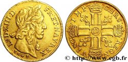 LOUIS XIII LE JUSTE Double louis d or aux huit L (effigie de Jean Warin), légende fautée 1643 Lyon