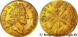 LOUIS XIV LE GRAND OU LE ROI SOLEIL Double louis d or aux insignes, portrait aux cheveux courts 1704 Paris