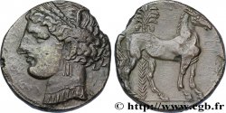 ZEUGITANE - CARTHAGE Triple shekel
