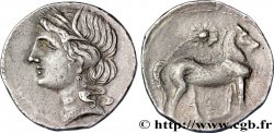 ZEUGITANE - CARTHAGE Demi-shekel