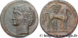 ESPAGNE - HISPANO-PUNIQUES - CARTHAGÈNE Unité