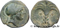 SPAGNA - HISPANO-PUNICHE - CARTHAGO NOVA Demi-unité