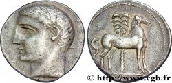 ESPAGNE - HISPANO-PUNIQUES - CARTHAGÈNE Shekel