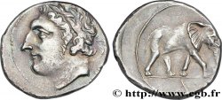 SICILIA - AGRIGENTO Shekel
