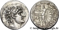 SYRIE - ROYAUME SÉLEUCIDE - ANTIOCHUS VIII GRYPUS Tétradrachme