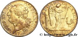 LOUIS XVI Demi-écu dit au génie , type FRANÇOIS 1792 Paris
