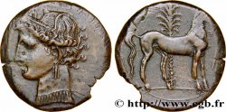 ZEUGITANE - CARTHAGE Double shekel