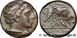 RÉPUBLIQUE ROMAINE - ANONYMES Didrachme romano-campanien ou nummus