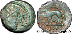 GALLIA - AULERCI EBUROVICES (Región d Evreux) Bronze au sanglier enseigne, ECTA-EBVRO AVLIRCO-EBVROVIC