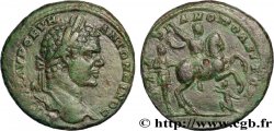 CARACALLA Tetrassaria