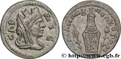 SEPTIMIUS SEVERUS Assarion