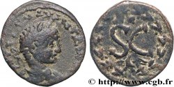 CARACALLA Unité