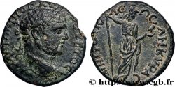 CARACALLA Triassaria