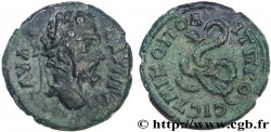 SEPTIMIUS SEVERUS Assarion