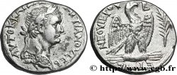 DOMITIANUS Tétradrachme syro-phénicien