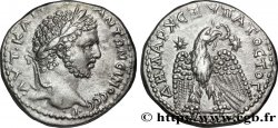 CARACALLA Tétradrachme syro-phénicien