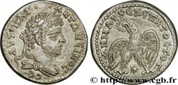 CARACALLA Tétradrachme syro-phénicien