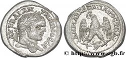 CARACALLA Tétradrachme syro-phénicien