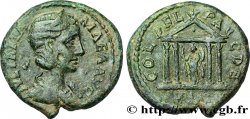 JULIA MAMÉE Triassaria