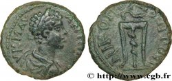 CARACALLA Assarion