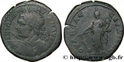 CARACALLA Hexassaria