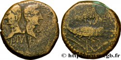 AUGUSTUS and AGRIPPA Dupondius