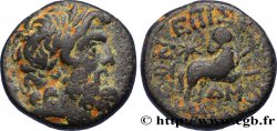 SYRIA - SELEUCIA and PIERIA - ANTIOCHIA - AUGUSTUS Bronze