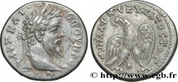 SEPTIMIUS SEVERUS Tétradrachme syro-phénicien AU