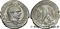 CARACALLA Tétradrachme syro-phénicien