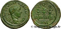 SEVERUS ALEXANDER Diassaria