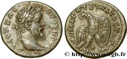 SEPTIMIUS SEVERUS Tétradrachme syro-phénicien