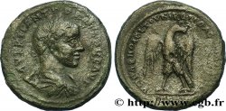 GORDIEN III Tetrassaria