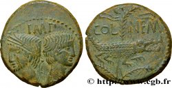 NEMAUSUS - NIMES - AUGUSTUS and AGRIPPA Dupondius AU